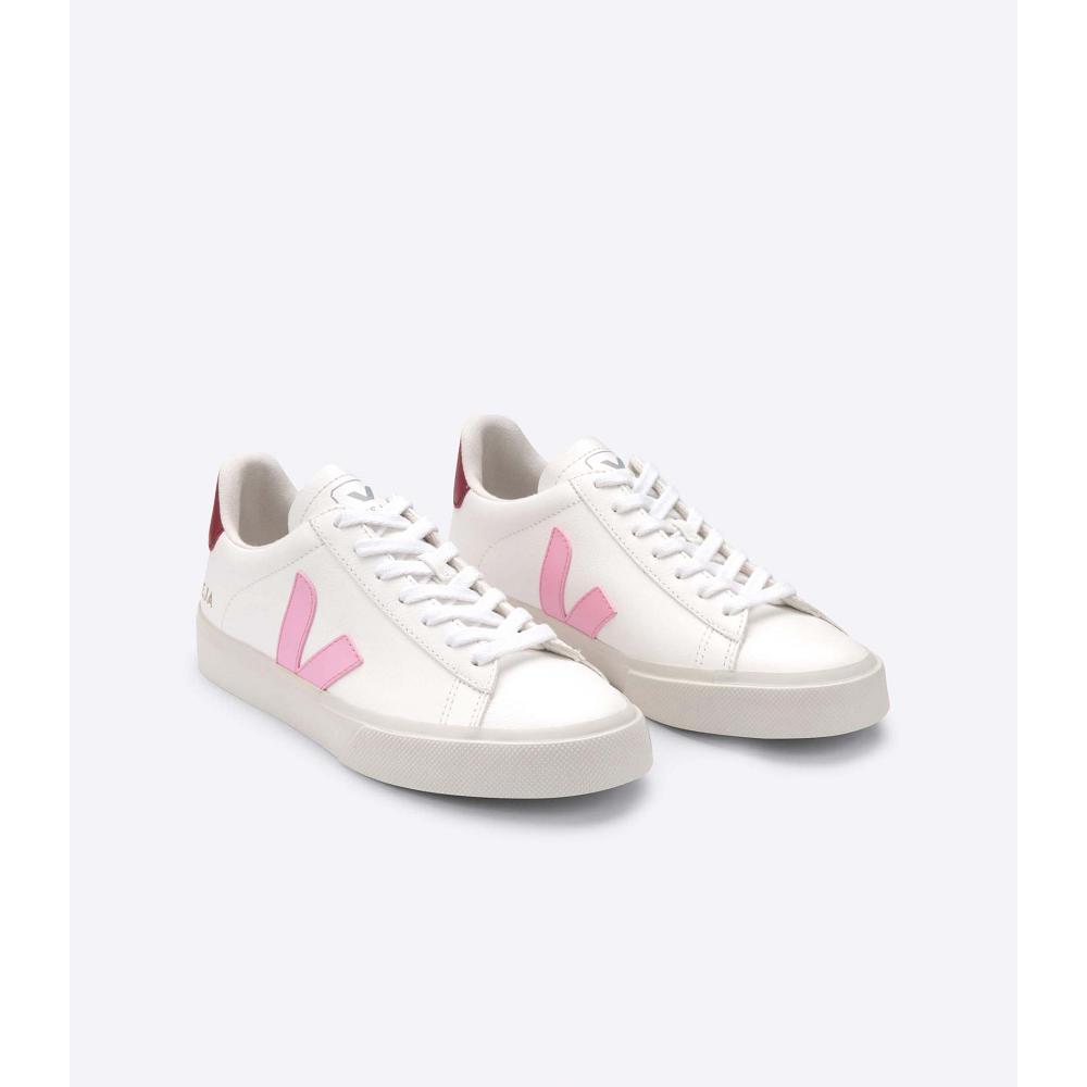 Low Tops Sneakers ανδρικα Veja CAMPO CHROMEFREE White/Pink | GR 193WNB